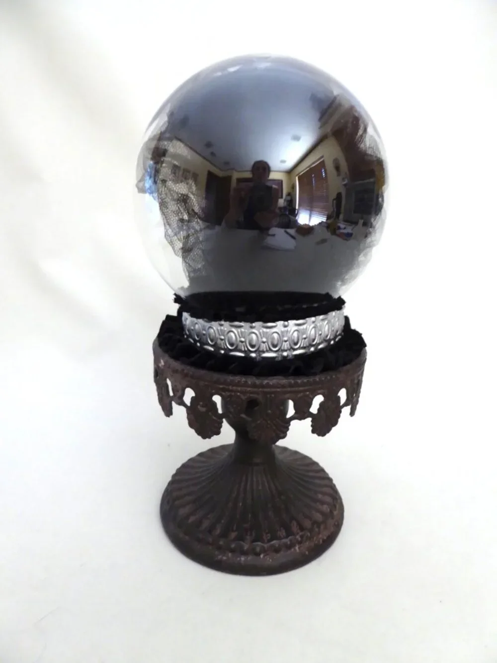 Cradle to Grave Curiosities new oddity
